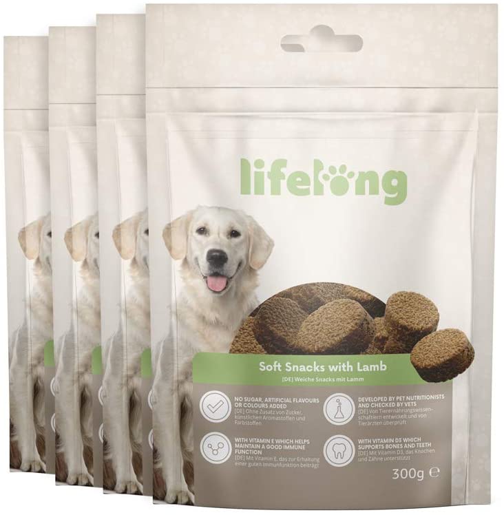 Best dry dog food clearance for springer spaniels uk