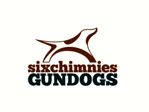 Lisa Jane Allen - Sixchimnies - Springer Spaniel breeder