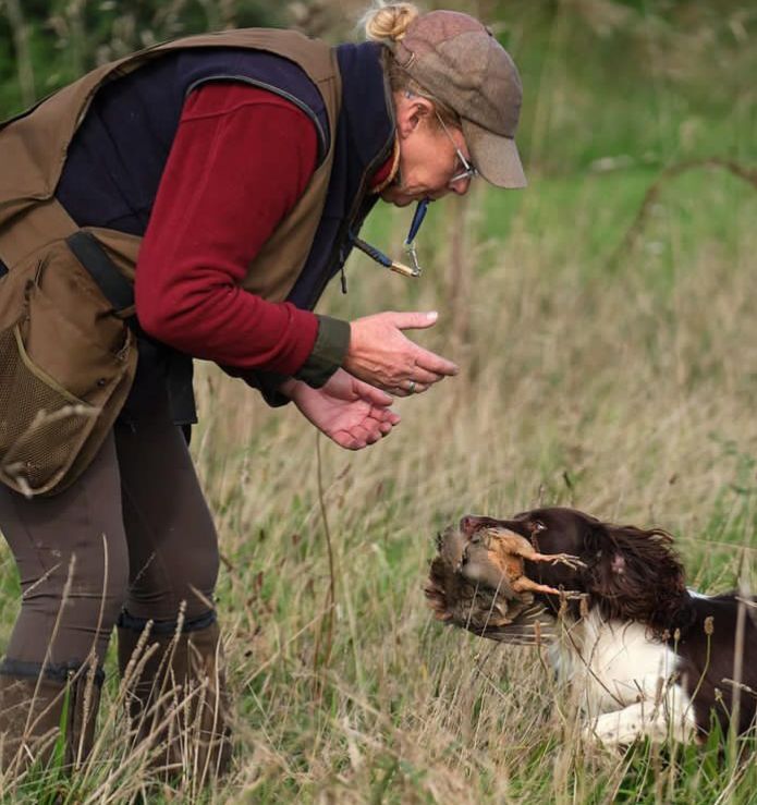 Lisa Jane Allen - Sixchimnies - Springer Spaniel Breeder on Springer Spaniel Owners - Image 6